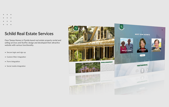 Website Development: WordPress Development | WordPress Theme Development